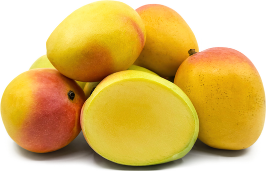 Calypso Mango Aam Grafted Healthy Fruit Plant