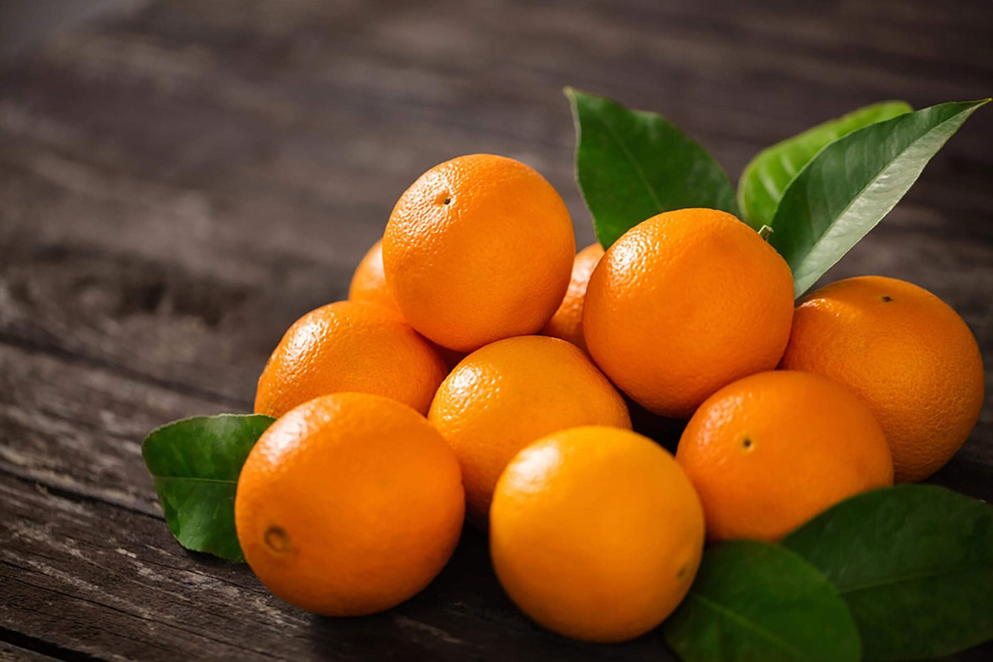 Capola Clementine Orange Grafted Healthy Fruit Plant