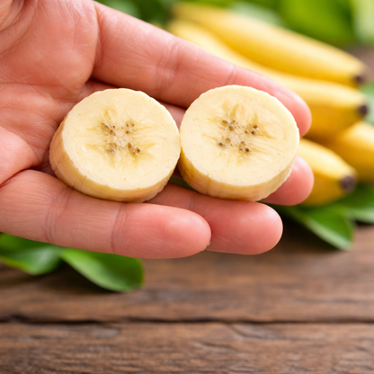 Cavendish Banana Healthy Sweet Tissue Cultured Fruit Plant