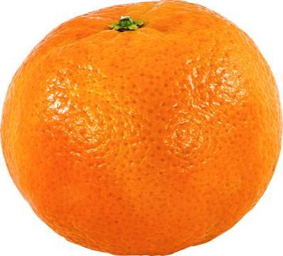 Central India Mandarin Orange Grafted Healthy Fruit Plant