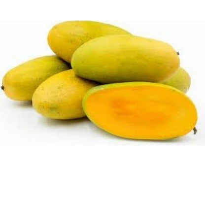 Chausa Mango Aam Grafted Healthy Fruit Plant