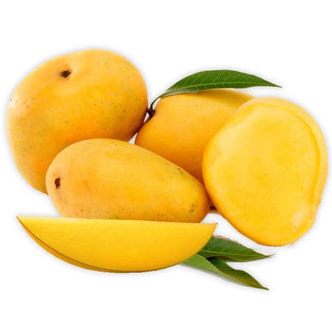 Chausa Mango Aam Grafted Healthy Fruit Plant