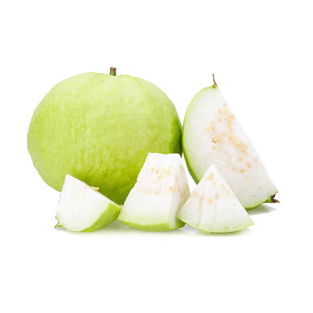 Chiang Mai White Guava Air Layered Healthy Fruit Plant
