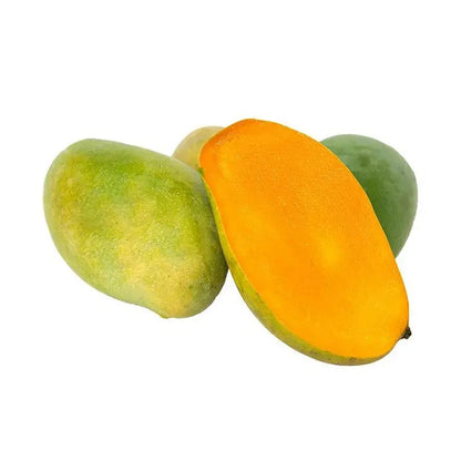Chinna Rasalu Mango Aam Grafted Healthy Fruit Plant