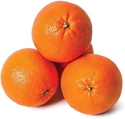 Citrus Aura Mandarin Orange Grafted Healthy Fruit Plant