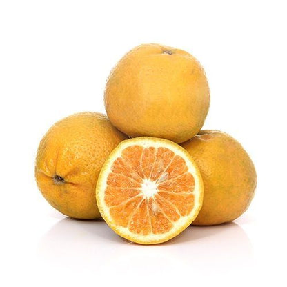Citrus Bloom Sweet Orange Grafted Healthy Fruit Plant
