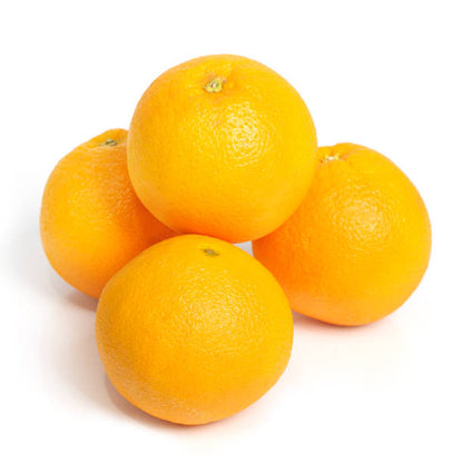 Citrus Bright Sweet Orange Grafted Healthy Fruit Plant