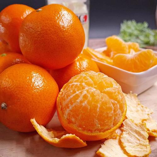 Citrus Classic Gold Orange Grafted Healthy Fruit Plant