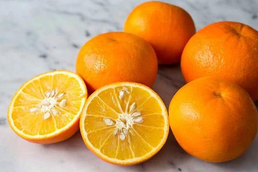 Citrus Classic Mandarin Orange Grafted Healthy Fruit Plant