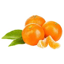 Citrus Delight Mandarin Orange Grafted Healthy Fruit Plant