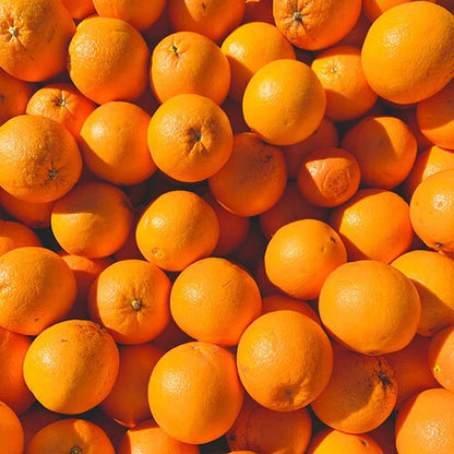 Citrus Elite Sweet Orange Grafted Healthy Fruit Plant