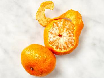 Citrus Evening Elite Orange Grafted Healthy Fruit Plant