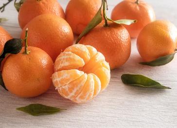 Citrus Evening Elite Orange Grafted Healthy Fruit Plant