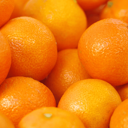 Citrus Fresh Sweet Orange Grafted Healthy Fruit Plant