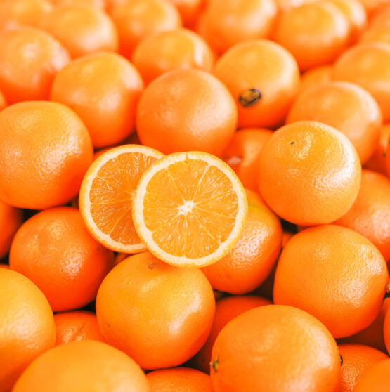 Citrus Fresh Sweet Orange Grafted Healthy Fruit Plant