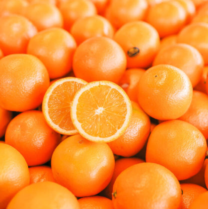 Citrus Fresh Sweet Orange Grafted Healthy Fruit Plant
