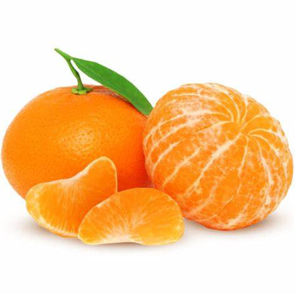 Citrus Golden Monarch Orange Grafted Healthy Fruit Plant
