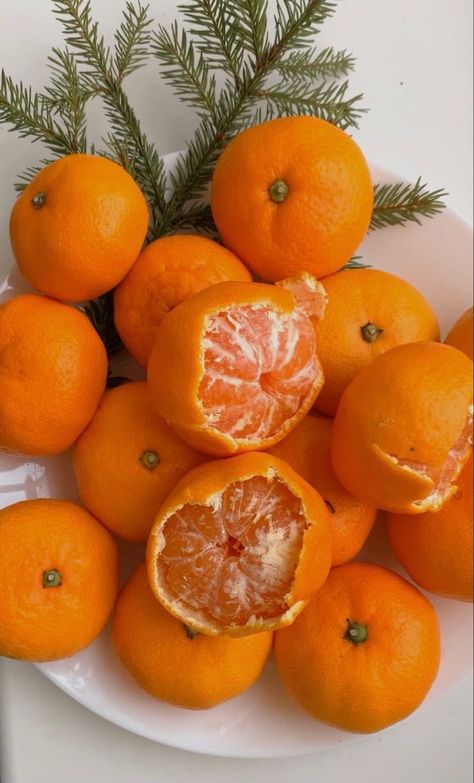 Citrus Golden Noble Orange Grafted Healthy Fruit Plant