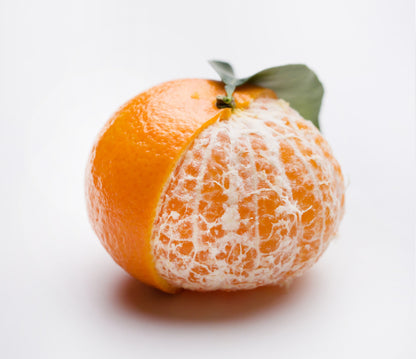 Citrus Golden Wonder Orange Grafted Healthy Fruit Plant