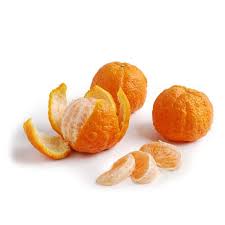 Citrus Harmony Gold Orange Grafted Healthy Fruit Plant