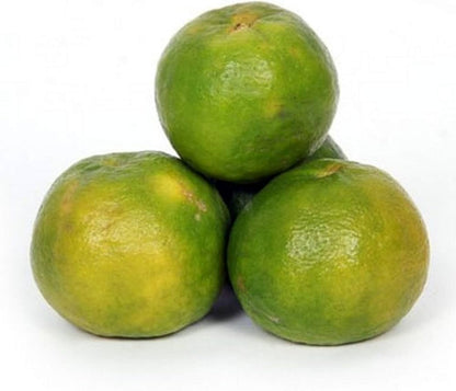 Citrus Harvest Sweet Orange Grafted Healthy Fruit Plant
