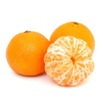Citrus Heritage Mandarin Orange Grafted Healthy Fruit Plant