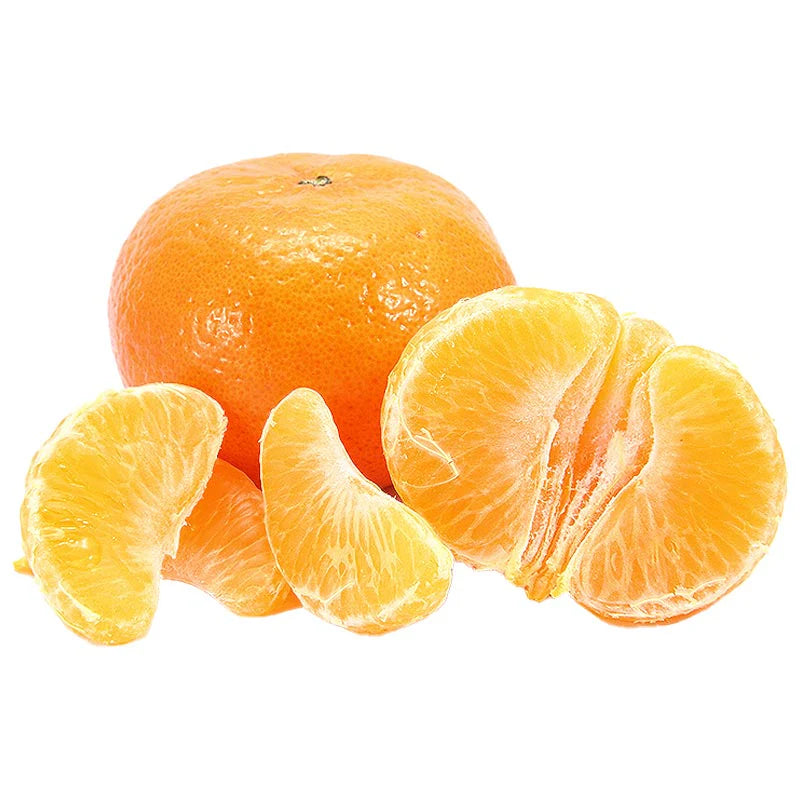 Citrus Imperial Gold Orange Grafted Healthy Fruit Plant