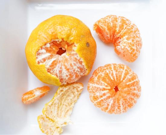 Citrus Island Gold Orange Grafted Healthy Fruit Plant