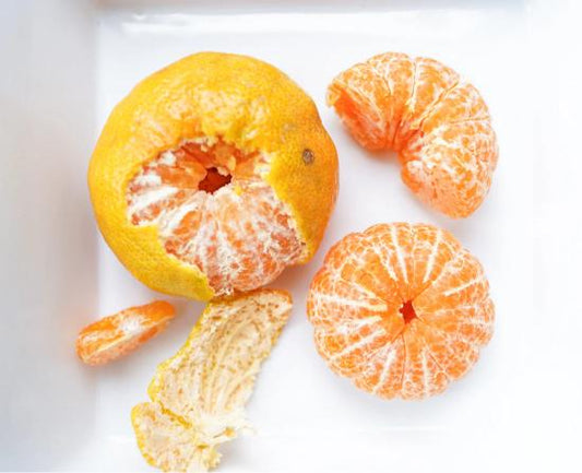 Citrus Island Gold Orange Grafted Healthy Fruit Plant