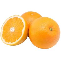 Citrus Legacy Gold Orange Grafted Healthy Fruit Plant