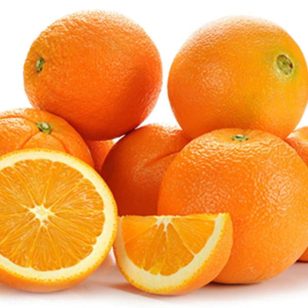 Citrus Legacy Mandarin Orange Grafted Healthy Fruit Plant