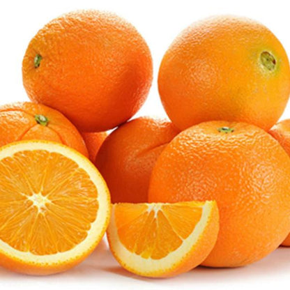 Citrus Legacy Mandarin Orange Grafted Healthy Fruit Plant