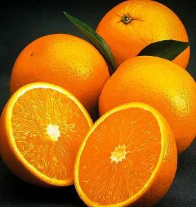 Citrus Mega Gold Orange Grafted Healthy Fruit Plant