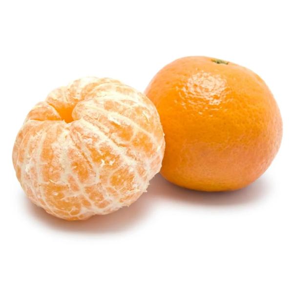 Citrus Monarch Gold Orange Grafted Healthy Fruit Plant