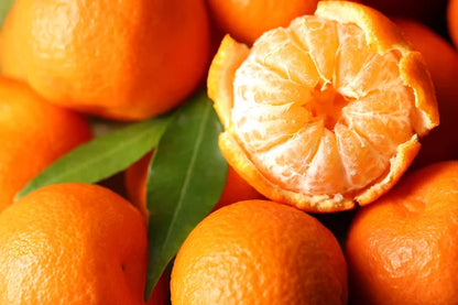 Citrus Morning Prime Orange Grafted Healthy Fruit Plant