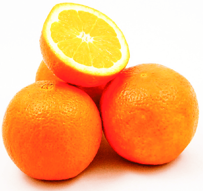 Citrus Nectar Sweet Orange Grafted Healthy Fruit Plant