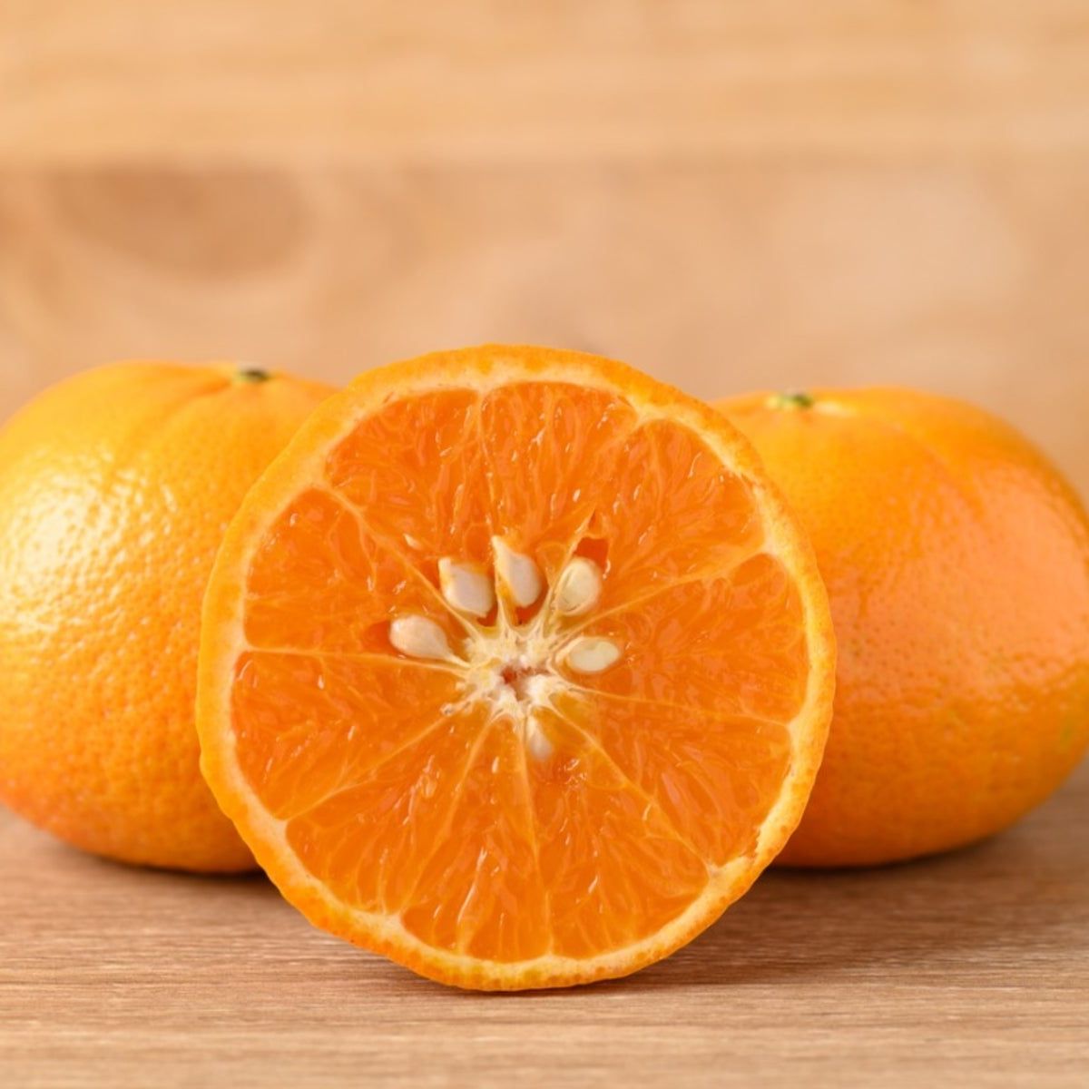 Citrus Noble Mandarin Orange Grafted Healthy Fruit Plant