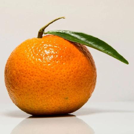 Citrus Noble Sweet Orange Grafted Healthy Fruit Plant