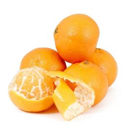Citrus Orchard Gold Orange Grafted Healthy Fruit Plant