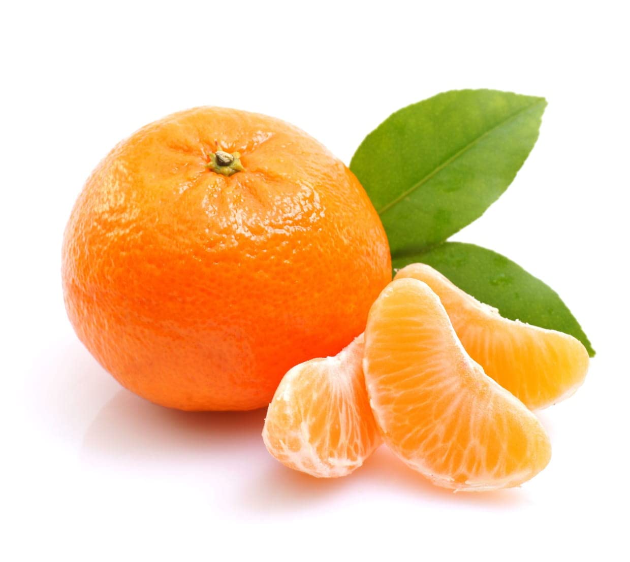 Citrus Golden Crown Orange Grafted Healthy Fruit Plant