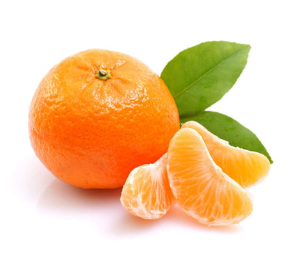 Citrus Golden Crown Orange Grafted Healthy Fruit Plant