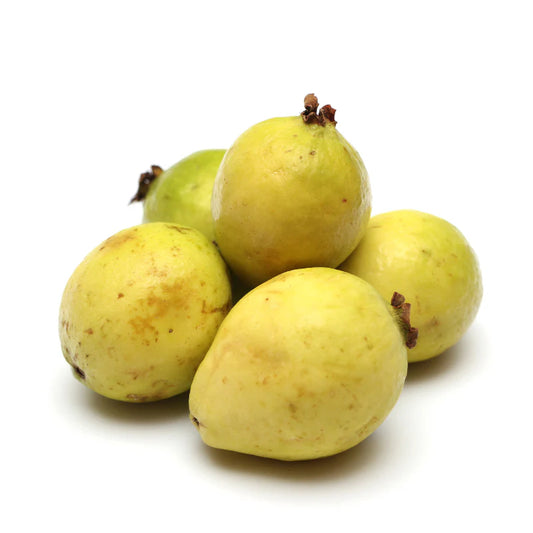 Costa Rica Blanca Guava Air Layered Healthy Fruit Plant