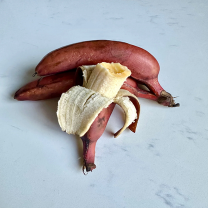 Cuban Red Banana Healthy Sweet Tissue Cultured Fruit Plant