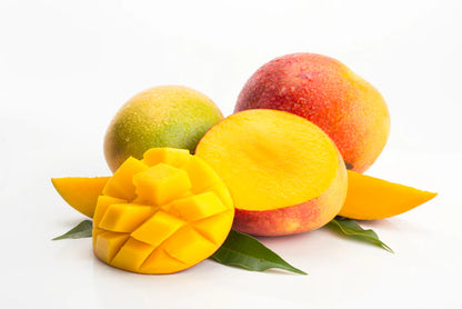 Davis Haden Mango Aam Grafted Healthy Fruit Plant