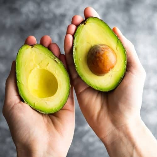 Duke Avocado Grafted Healthy Fruit Plant