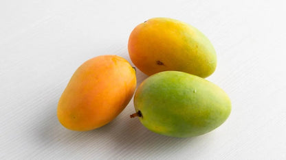 Earlygold Mango Aam Grafted Healthy Fruit Plant
