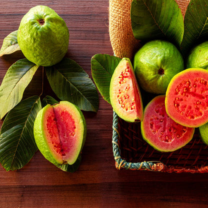 Ethiopian Pink Guava Air Layered Healthy Fruit Plant