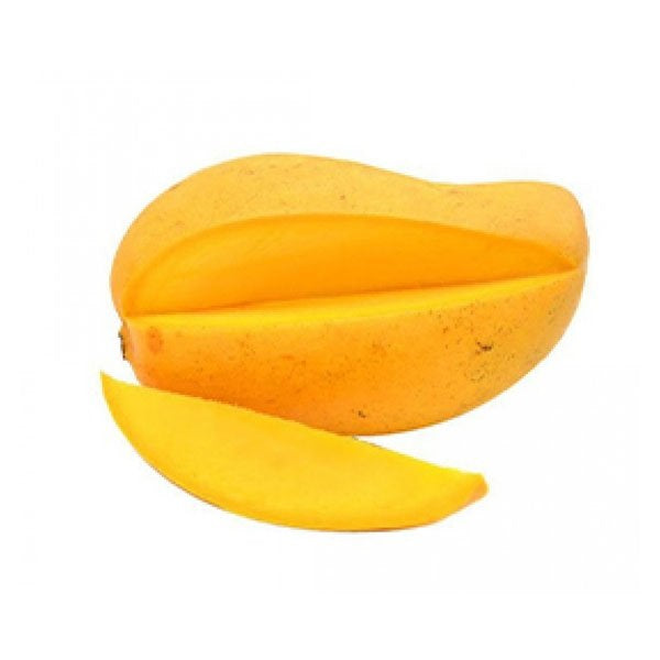 Fajri Kalan Mango Aam Grafted Healthy Fruit Plant