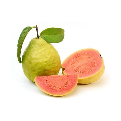 Fan Retief Guava Air Layered Healthy Fruit Plant