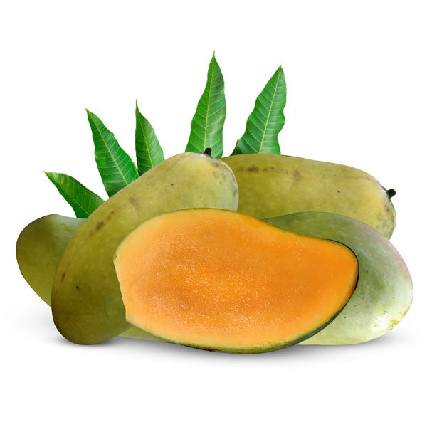 Fazli Mango Aam Grafted Healthy Fruit Plant